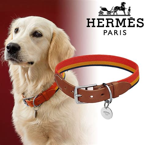 Hermes pet accessories online